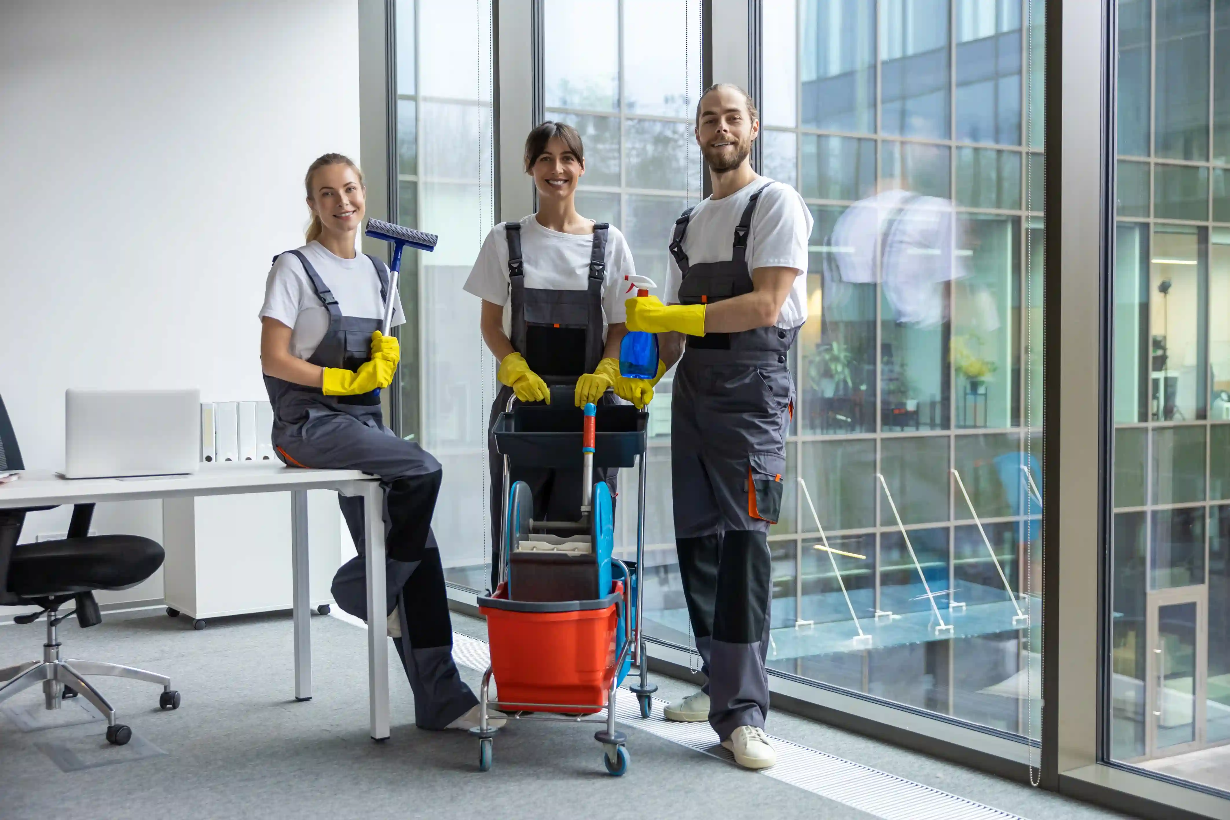 About Lumivexo Cleaning Services